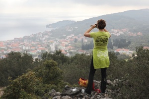 ZOF Trail otoka maslina